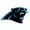 carolina-panthers