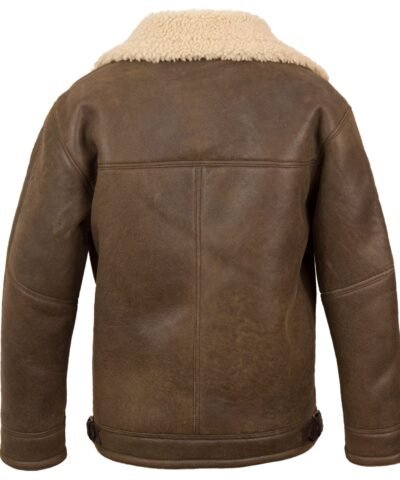 B-3 Sheepskin Brown Leather Jacket Back