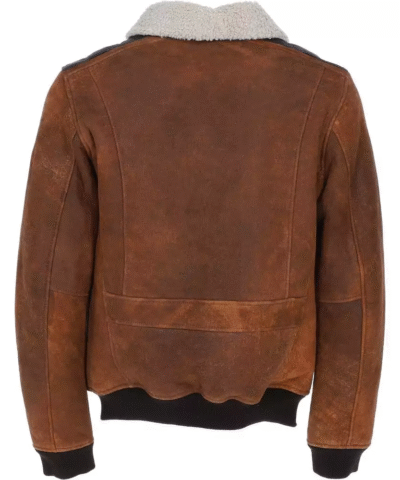 Aviator Suede Brown Leather Jacket Back