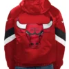 Red Force Play Chicago Bulls Hoodie Half-Zip Jacket