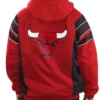 Chicago Bulls Red Home Team Half-Zip Hooded Jacket