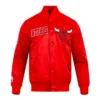 Shop RedBlack Chicago Bulls Souvenir Full-Snap Satin Jacket