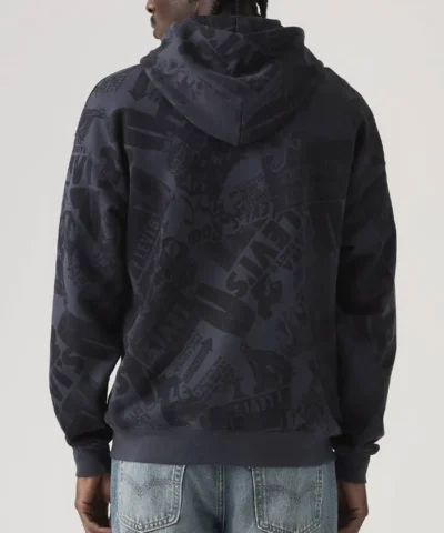 Sunset Graphic Levi`s pullover Hoodie
