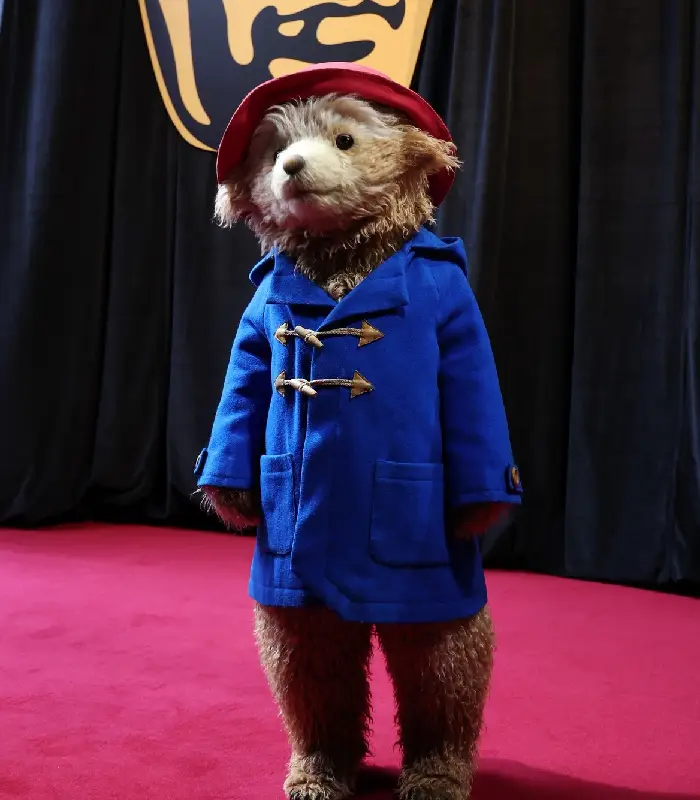 Paddington Bear 2026 BAFTA Film Awards Duffle Cat