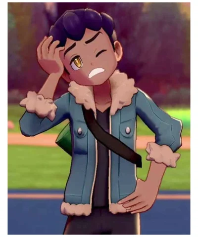 Pokemon Sword and Shield Hop Jacket