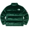 Shop Supreme x The North Face Nuptse Jacket for Men and Women