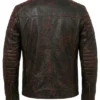 Shop Cafe Racer Brown Leather Jacket