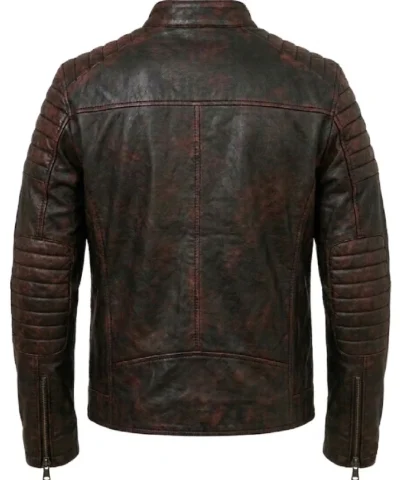 Shop Cafe Racer Brown Leather Jacket