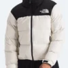 Supreme And North Face Puffer Jacket