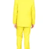 Jeff Daniels and Jim Carrey Movie Dumb and Dumber Harry Lloyd Yellow Suits